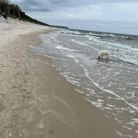 Posejdon Gardenia Sun *