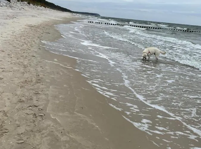 Posejdon Gardenia Sun *